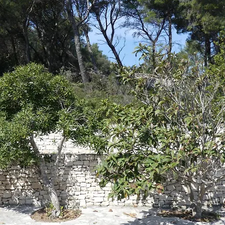 The Fig Garden By Lemo